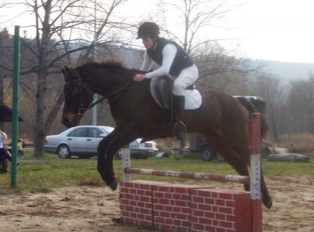 Zawody w Raciechowicach SJK Hucuł 2006